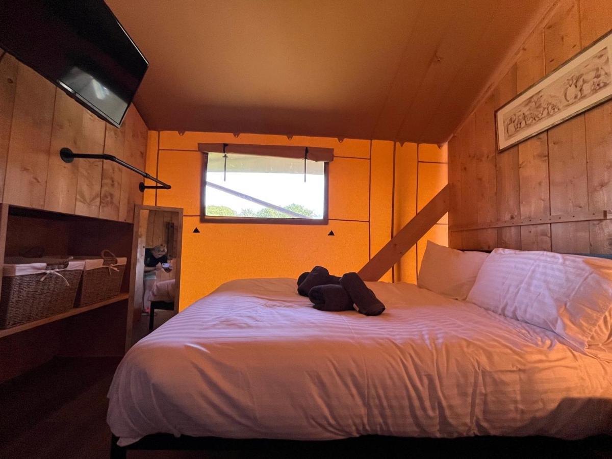 Aladdin Safari Tent Tenby Luaran gambar